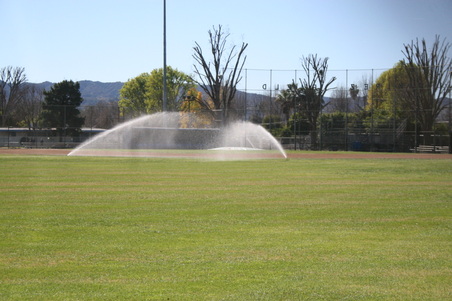 Enlarge photo 46
