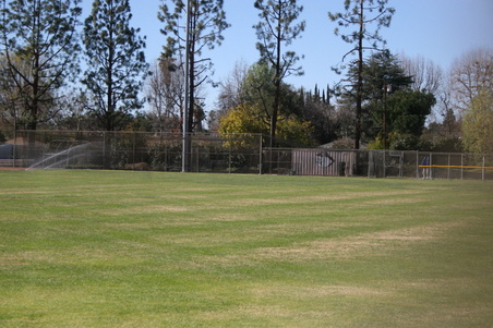 Enlarge photo 52