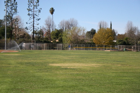 Enlarge photo 55