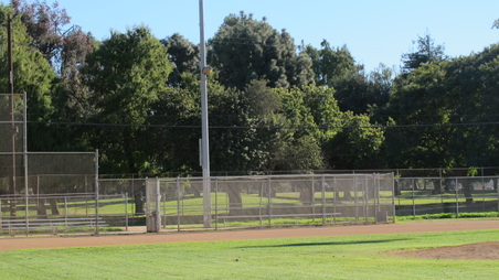 Enlarge photo 72