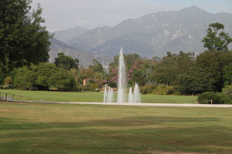 Bauer Lawn - LA Arboretum