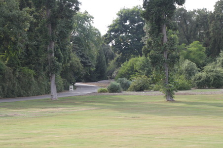 Enlarge photo 17