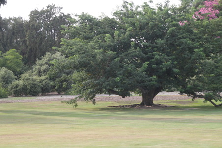 Enlarge photo 18
