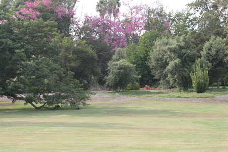 Enlarge photo 19