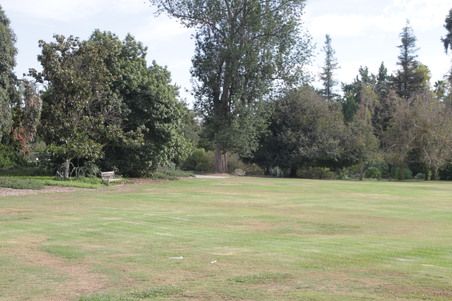 Enlarge photo 27