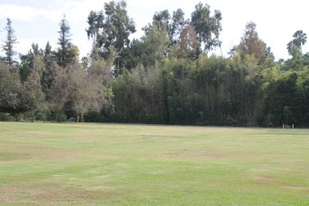 Enlarge photo 28