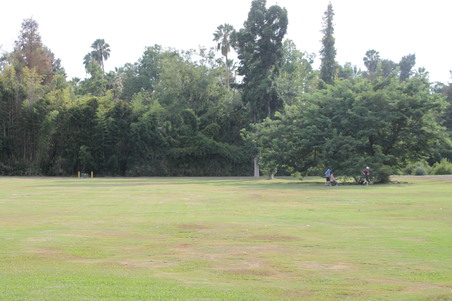 Enlarge photo 29