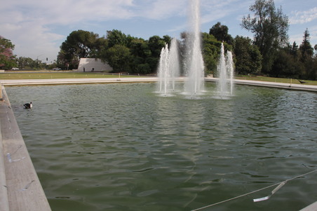 Enlarge photo 32