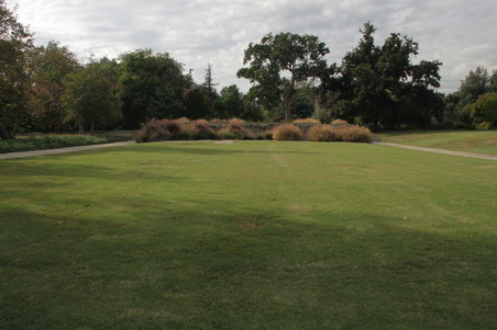 Enlarge photo 34