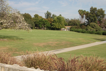 Enlarge photo 36