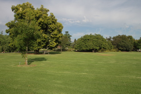 Enlarge photo 45