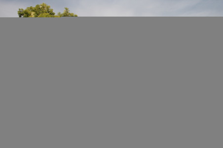 Enlarge photo 49