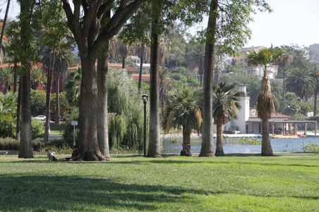 Enlarge photo 5