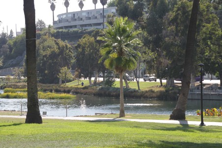 Enlarge photo 20