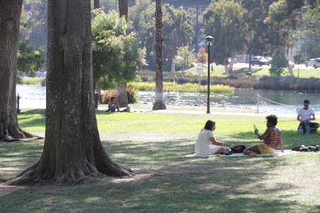 Enlarge photo 21