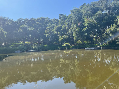 Enlarge photo 25