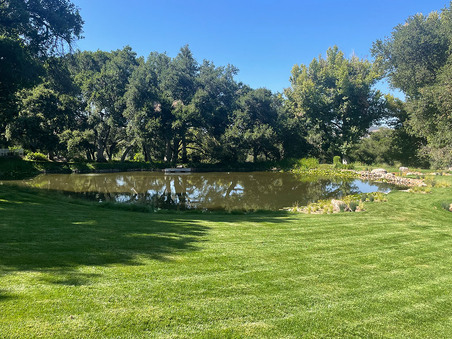 Enlarge photo 28