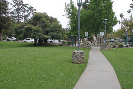 Enlarge photo 7
