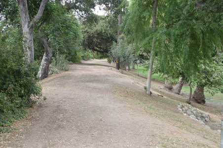 Enlarge photo 17