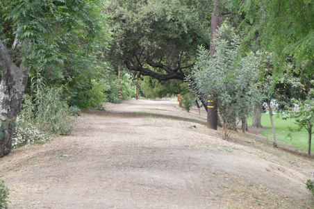 Enlarge photo 18
