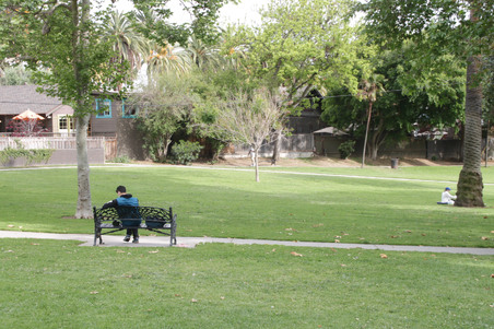 Enlarge photo 24