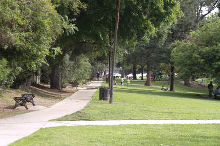 Enlarge photo 26