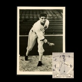 Enlarge photo 96