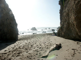 Enlarge photo 19