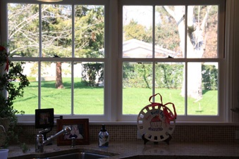 Enlarge photo 30