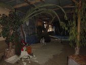 Enlarge photo 35