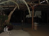 Enlarge photo 34