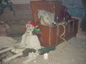 Enlarge photo 12