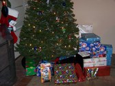 Enlarge photo 9