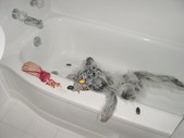 Enlarge photo 21