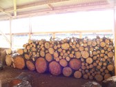 Enlarge photo 18