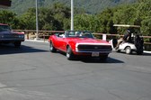Enlarge photo 24