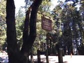 Enlarge photo 1