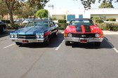Enlarge photo 30