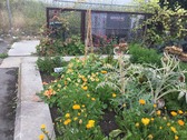 Enlarge photo 3