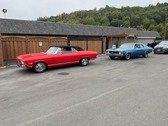 Enlarge photo 62