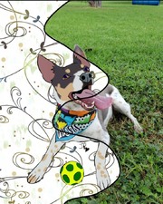 Enlarge photo 14