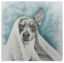 Art of the Dogs