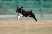 Enlarge photo 22