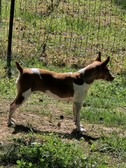 Enlarge photo 14