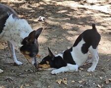 Enlarge photo 2
