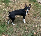 The House Always Wins (Chance x Floyd)