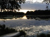 Enlarge photo 13