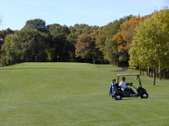 Enlarge photo 35