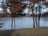 Enlarge photo 40