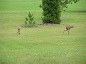 Enlarge photo 32